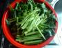 白灼菠菜的做法图解1
