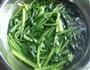 白灼菠菜的做法图解2