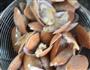 葱爆花甲的做法图解7