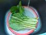 毛豆白菜汤的做法图解1