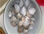 辣炒蛤蜊的做法图解2