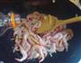 红烧大明虾的做法图解7