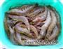 蒜香凤虾的做法图解1