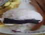 自制寿司的做法图解12