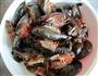 红烧小龙虾的做法图解8