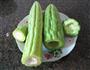 酿苦瓜的做法图解2