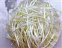 虫草银芽炒粉丝的做法图解1
