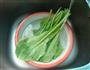 青菜米汤的做法图解3
