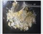 泡菜炒饭的做法图解4