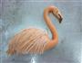 火烈鸟的做法图解7