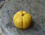 蜜豆迷你小南瓜的做法图解9