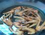 过油鸡爪的做法图解4