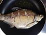 红烧武昌鱼的做法图解3