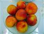 自制黄桃罐头的做法图解1