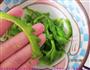 雪碧苦瓜的做法图解2