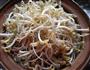 砂锅生绿豆芽的做法图解10
