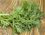 杏仁茼蒿的做法图解7