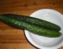 凉拌黄瓜的做法图解1