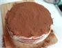 巧克力蛋糕的做法图解10