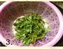 蒜蓉马齿苋的做法图解3