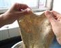 全麦面包的做法步骤3