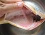 清蒸黄花鱼的做法图解2