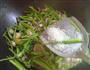 墨鱼仔炒香芹的做法图解9
