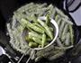 干煸芸豆的做法图解6