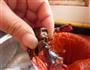 香辣龙虾的做法图解4