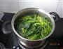 素炒菠菜的做法图解1