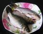 辣味毛豆鲫鱼的做法图解1