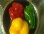 凉拌茄子的做法图解2