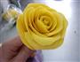 仿真玫瑰的做法图解8