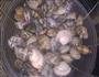 辣炒蛤蜊的做法图解4