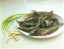 蒜蓉蒸虾的做法图解1