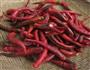 腌辣椒酱的做法图解1