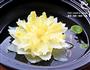海葵静心莲的做法图解6