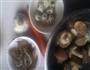 鸟卵酿香菇的做法图解1