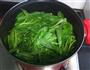 凉拌空心菜的做法图解3