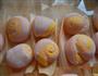 双色小馒头的做法图解6
