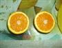 香橙果冻的做法图解1