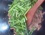豇豆炒肉丝的做法图解5