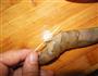 鲍汁蒜蓉蒸大虾的做法图解4