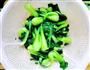 油爆青菜的做法图解5