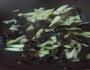 西芹烩木耳的做法图解5