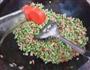 豆角炒饭的做法图解9