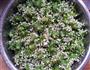 韭菜花酱的做法图解1