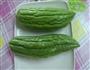 黄花菜肉末酿苦瓜的做法图解2