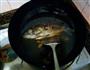 鲫鱼粉丝汤的做法图解5