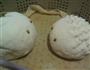 手工馒头的做法图解3